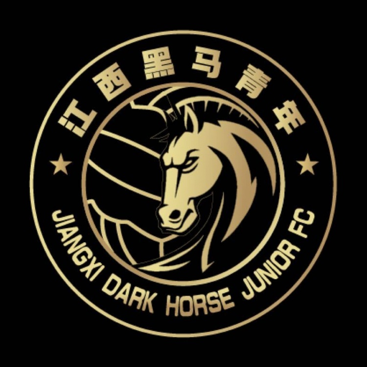  官方：江西黑馬青年完成異地遷移程序，更名為溫州職業(yè)足球俱樂(lè )部